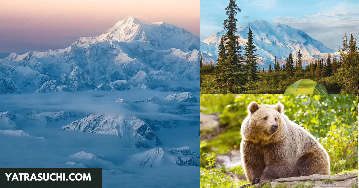 weather-denali-national-park