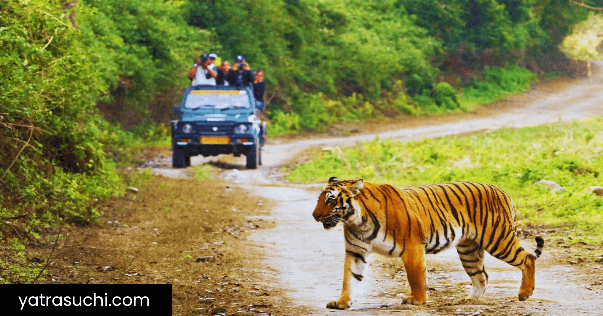 Jim Corbett National Park